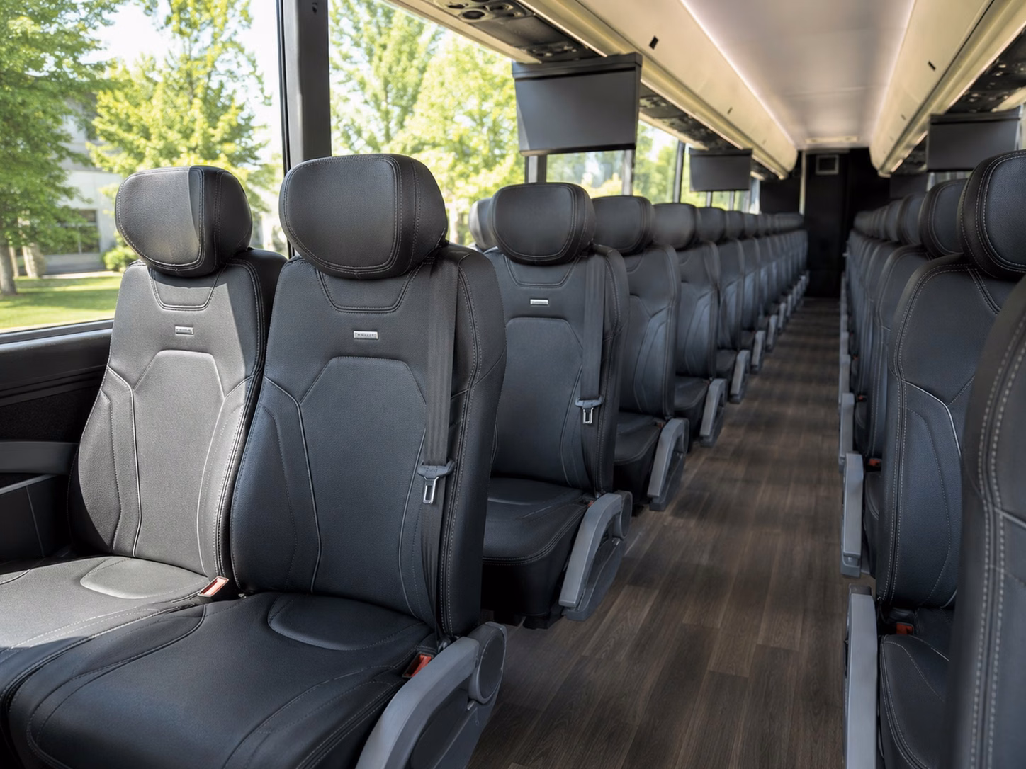 winston salem dash baseball transportation for groups of any size